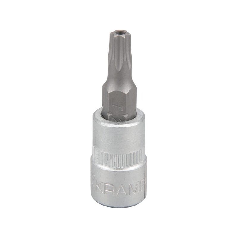Screwdriver bit socket 1/4 inch Torx TX 25 - 18060066025KR