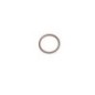 O-ring - 17289781FPT O-ring - 17289781FPT