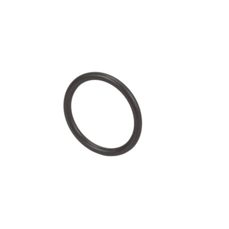 O-Ring - 17278390FPT