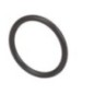 O-Ring - 17278390FPT