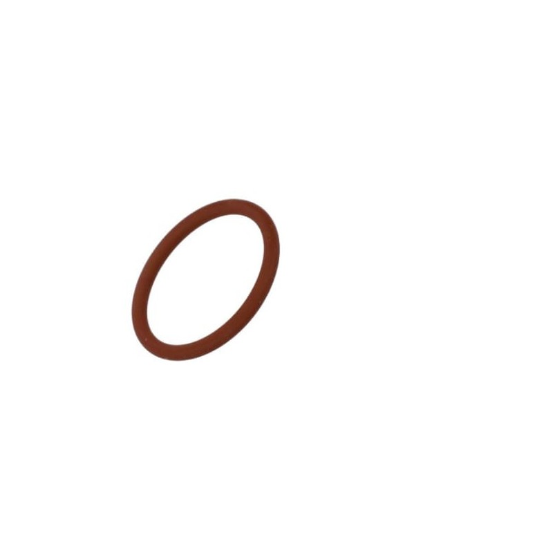 O-Ring - 17282281FPT O-Ring - 17282281FPT