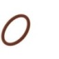 O-Ring - 17282281FPT O-Ring - 17282281FPT