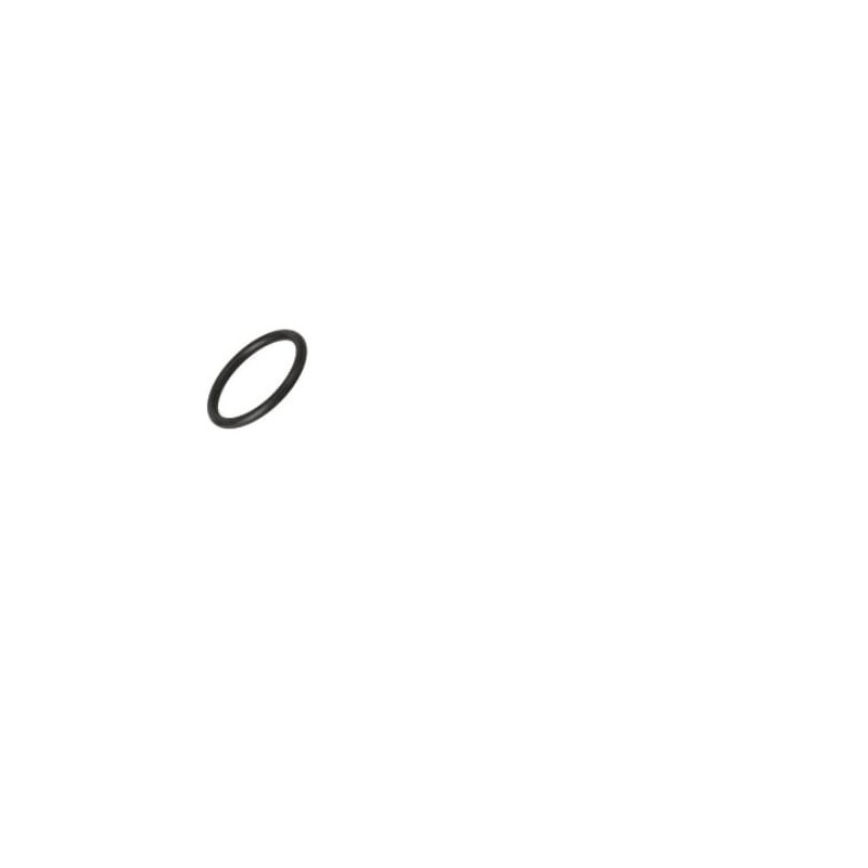 O-Ring - 17282280FPT O-Ring - 17282280FPT