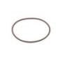 O-Ring - 17292081FPT O-Ring - 17292081FPT