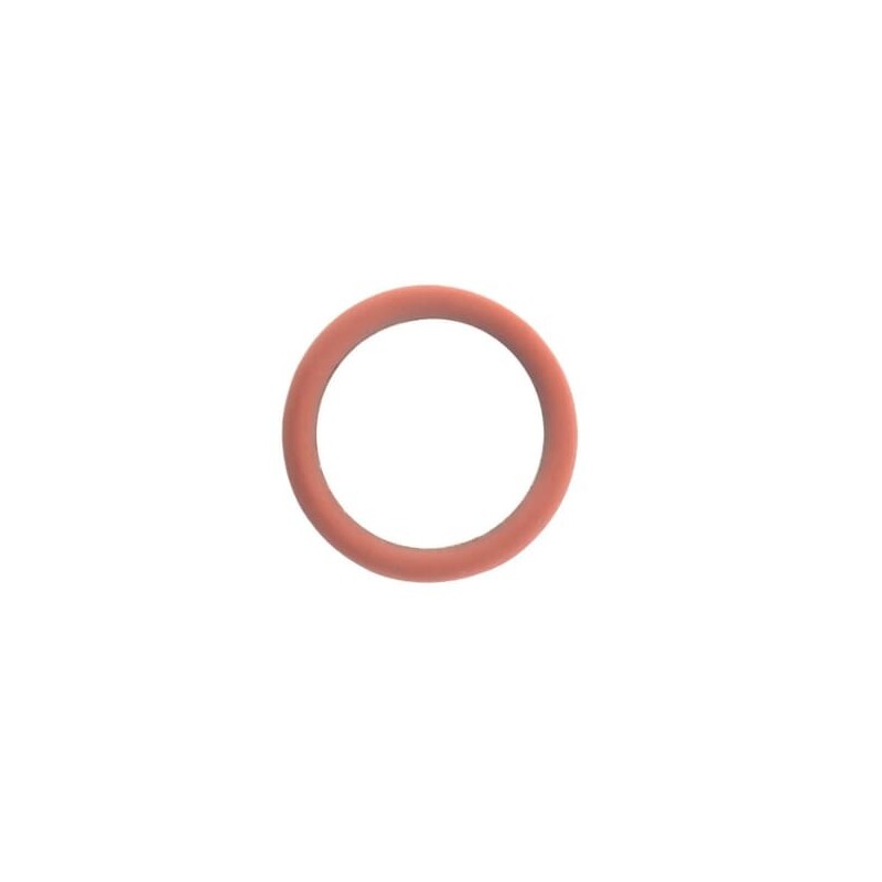 O-Ring - 17288681FPT O-Ring - 17288681FPT