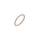 O-Ring - 17284281FPT