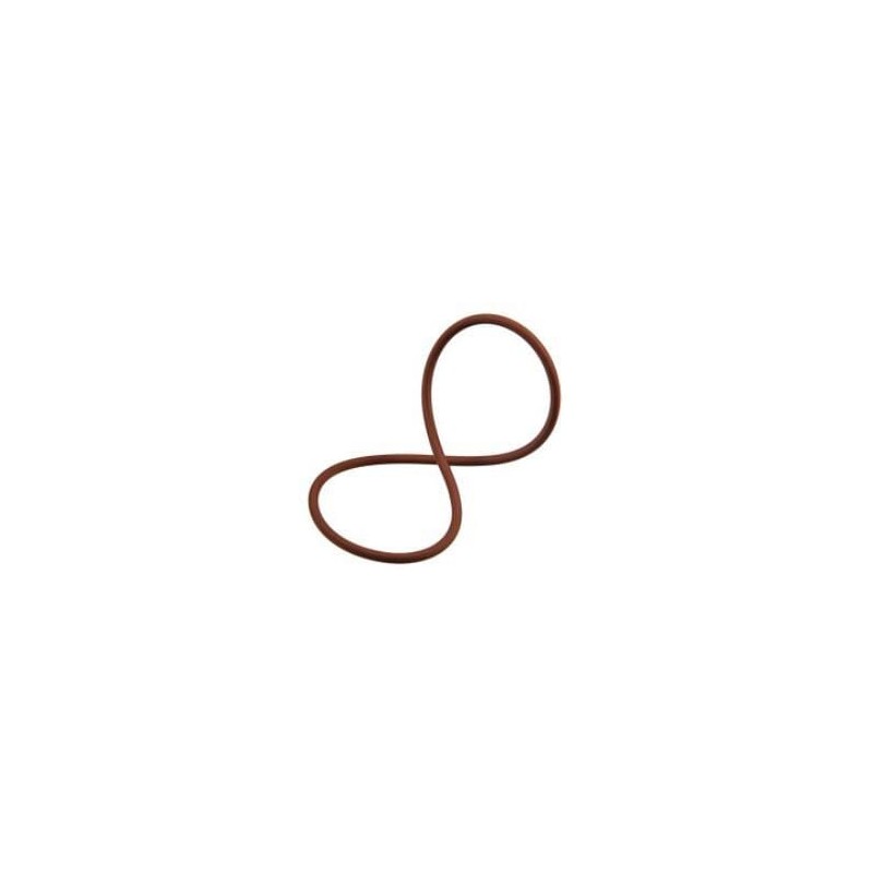 O-Ring - 17291481FPT