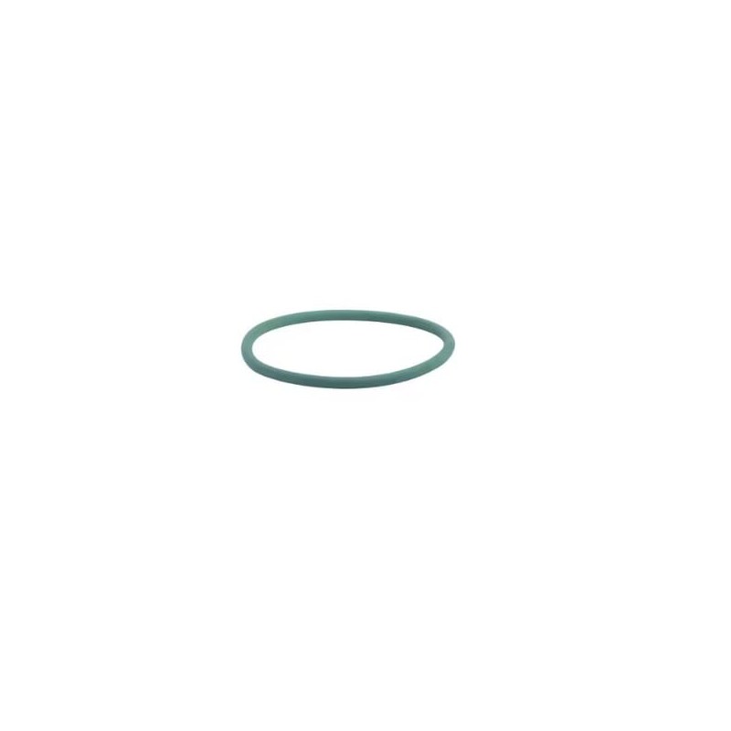 O-Ring Wasserpumpe - 17290081FPT O-Ring Wasserpumpe - 17290081FPT