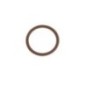 O-Ring - 17282381FPT O-Ring - 17282381FPT