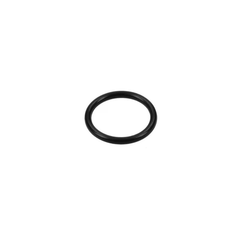 O-Ring - 17291881FPT