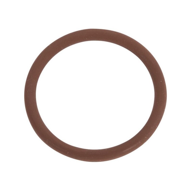 O-Ring - 17282381 O-Ring - 17282381