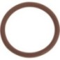 O-Ring - 17282381 O-Ring - 17282381