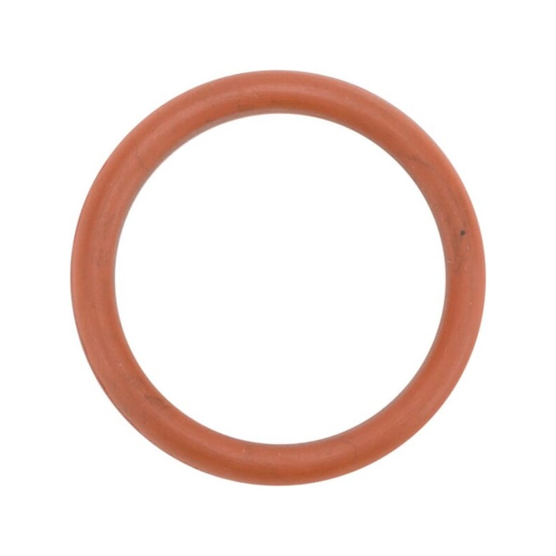 O-Ring - 17288681