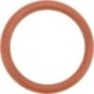 O-Ring - 17288681