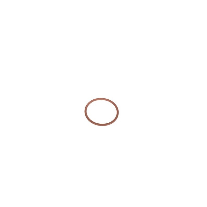 Dichtungsring - 17289781 Dichtungsring - 17289781