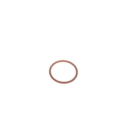 Seal ring - 17289781