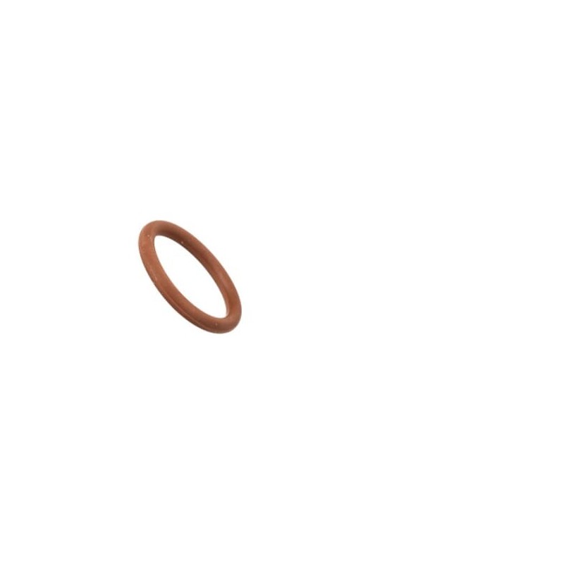 O-ring - 17281881FPT O-ring - 17281881FPT