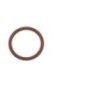 O-Ring - 17289081FPT O-Ring - 17289081FPT