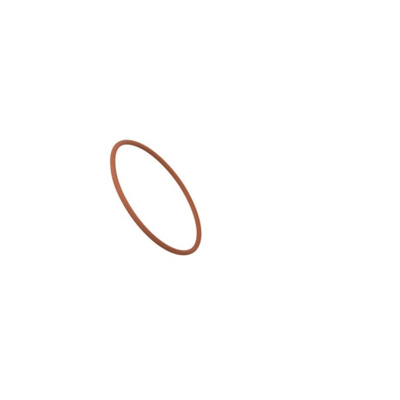 O-Ring - 17290781FPT O-Ring - 17290781FPT