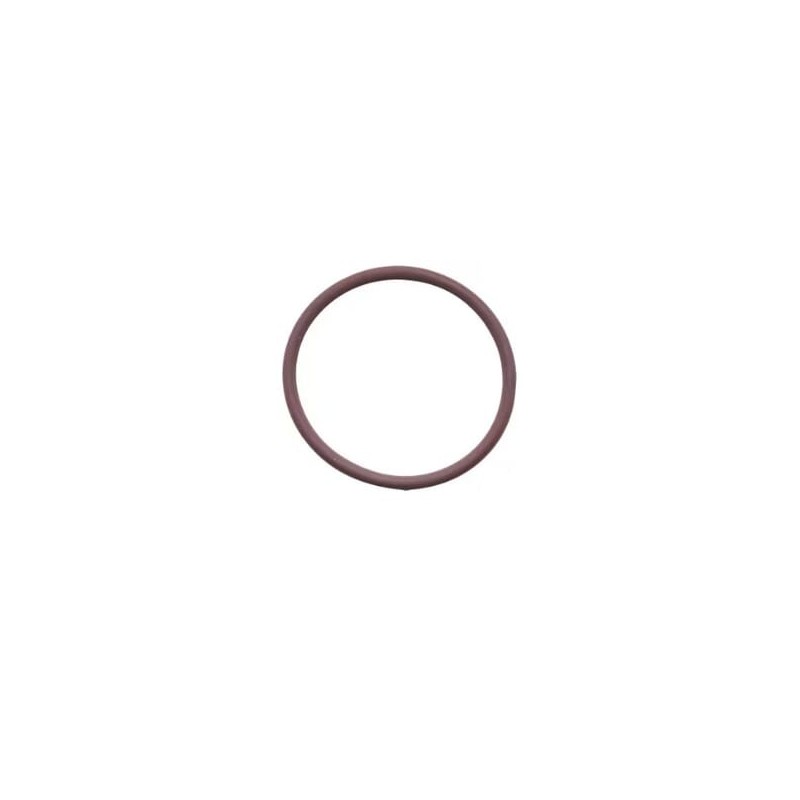O-Ring - 17278981FPT O-Ring - 17278981FPT