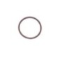 O-Ring - 17278981FPT O-Ring - 17278981FPT