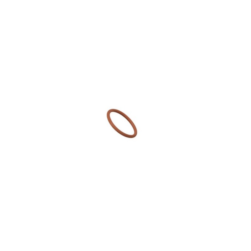 O-ring - 17289281FPT