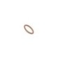 O-ring - 17289281FPT