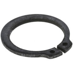 1909856N Raico, Crankshaft