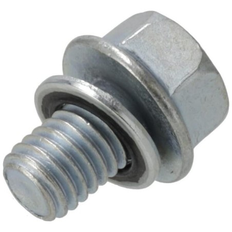 Drain bolt kit - 187Q0399940