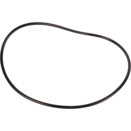 O-Ring - 190003121062