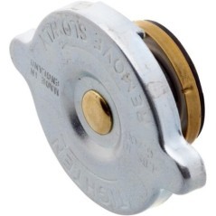 Kühlerdeckel - 1824628M91N