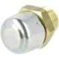 Plug - 1823603M91 Plug - 1823603M91