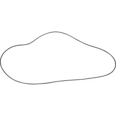 O-Ring MF - 1860838M1N