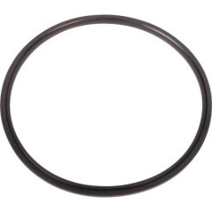 O-ring - 1870859M1N