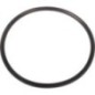O-Ring - 1870859M1N