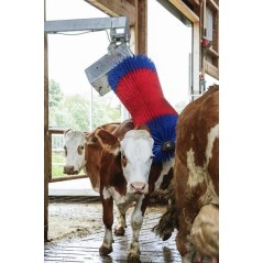 18860 HappyCow, Czochradła 
