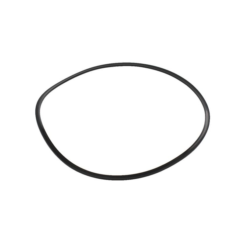 Dichtring - 189051A1 Dichtring - 189051A1