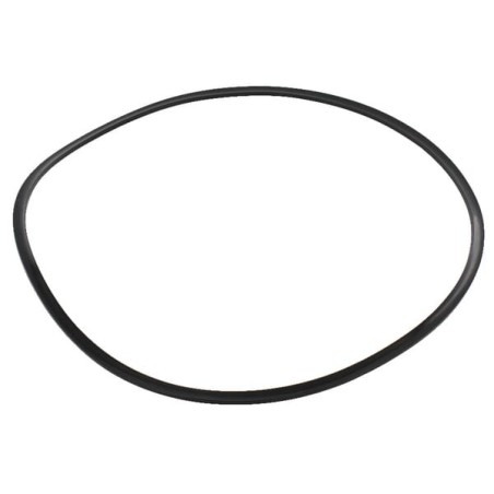 Dichtring - 189051A1