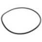 Dichtring - 189051A1 Dichtring - 189051A1