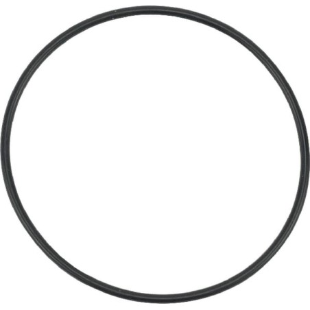 O-ring 1a s60 - 19215726560