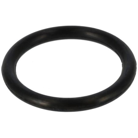 O-Ring 1015 - 187K0824940