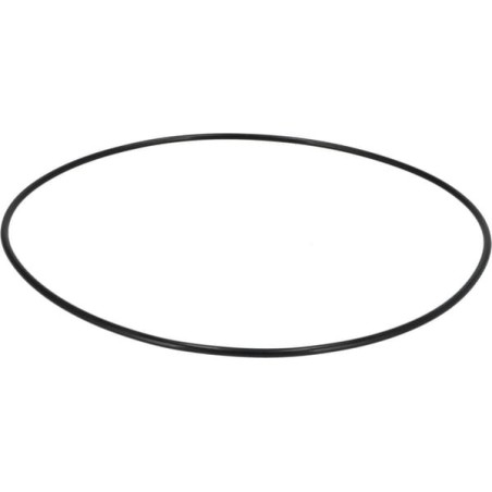 O-Ring - 190003120686