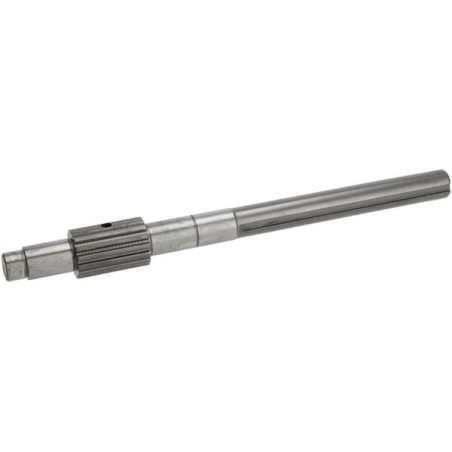 Input shaft - 19485525210