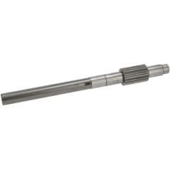 Input shaft - 19485525210
