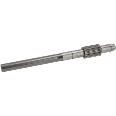 Input shaft - 19485525210