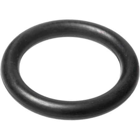 Gasket - 196030M1