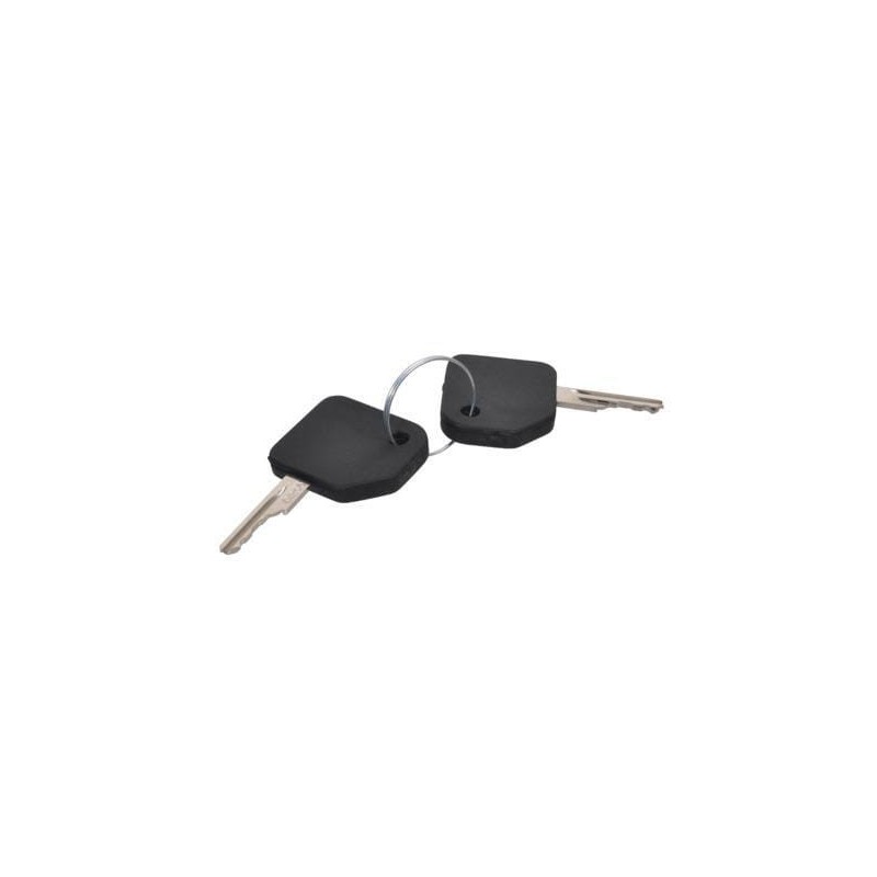 Contact key set 2x - 1964831C2 Contact key set 2x - 1964831C2