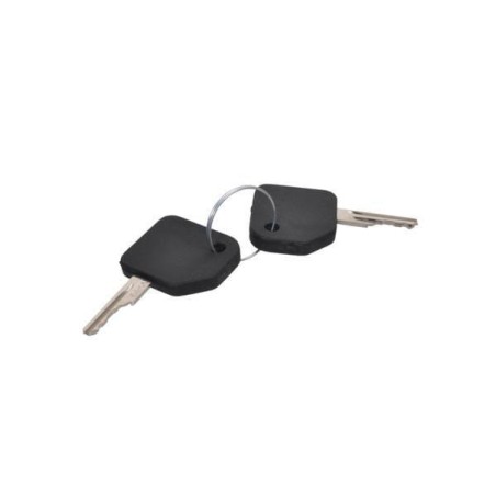 Ignition key – produkty dostępne w rolniczeczesci.pl
