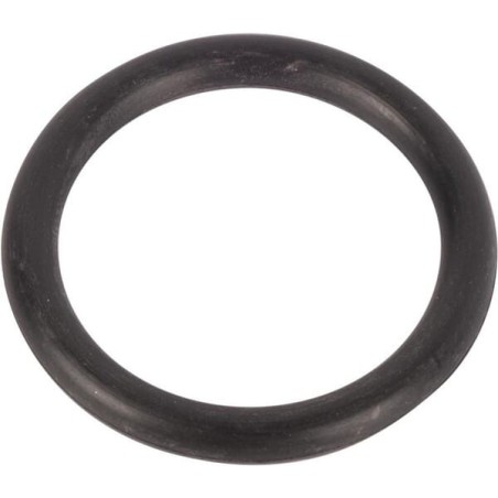 O-Ring - 195631M1
