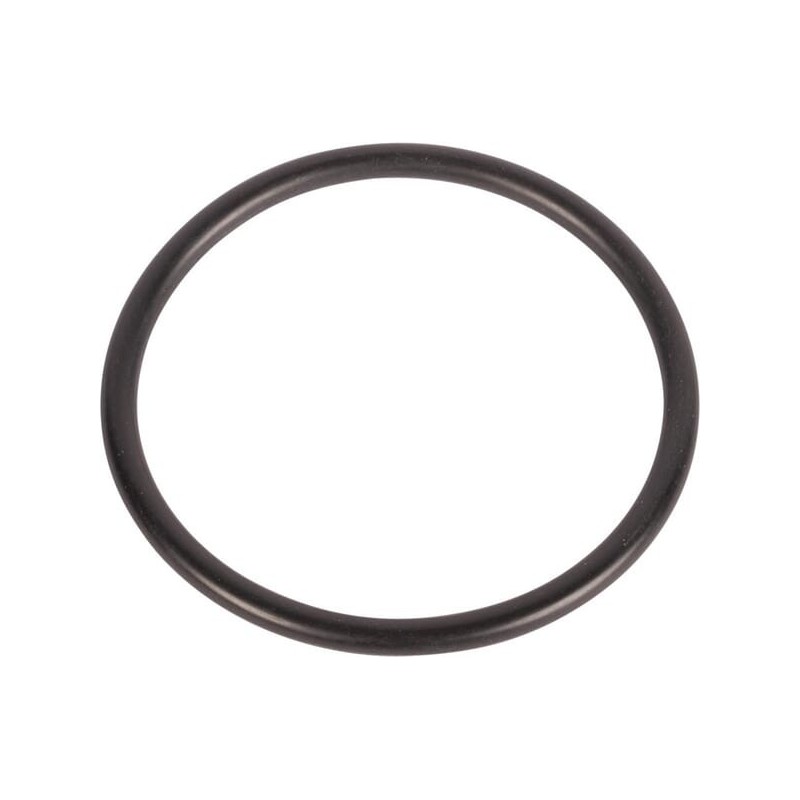 O-ring - 195876M1 O-ring - 195876M1